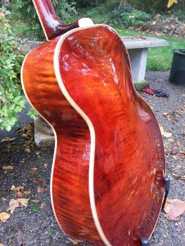 Photo #2 Eastman AJ816
