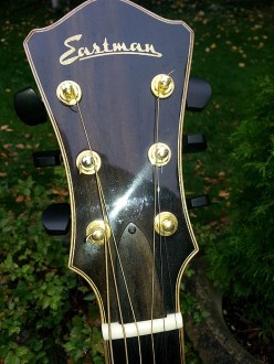 Photo #4 Eastman AJ816